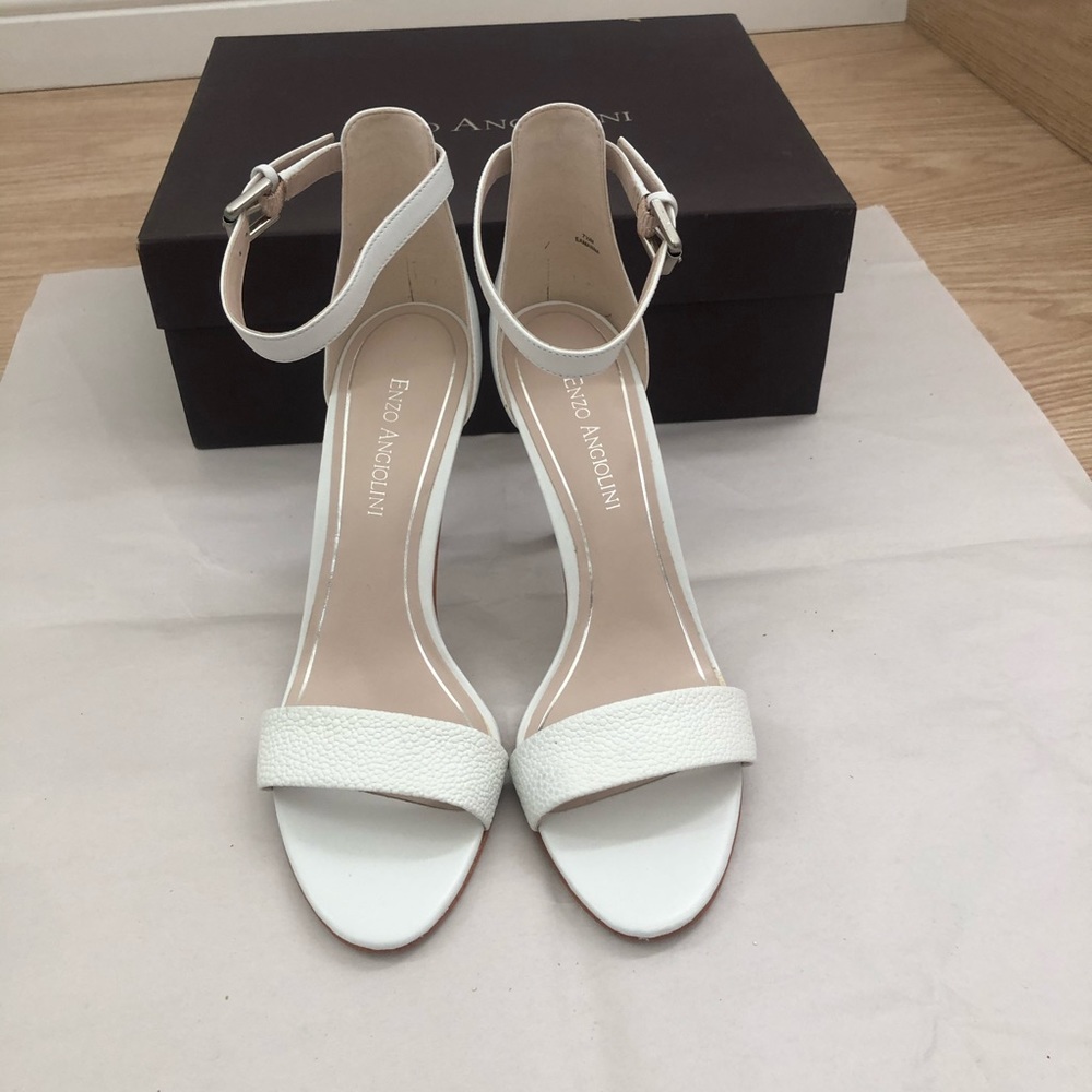 enzo angiolini brand